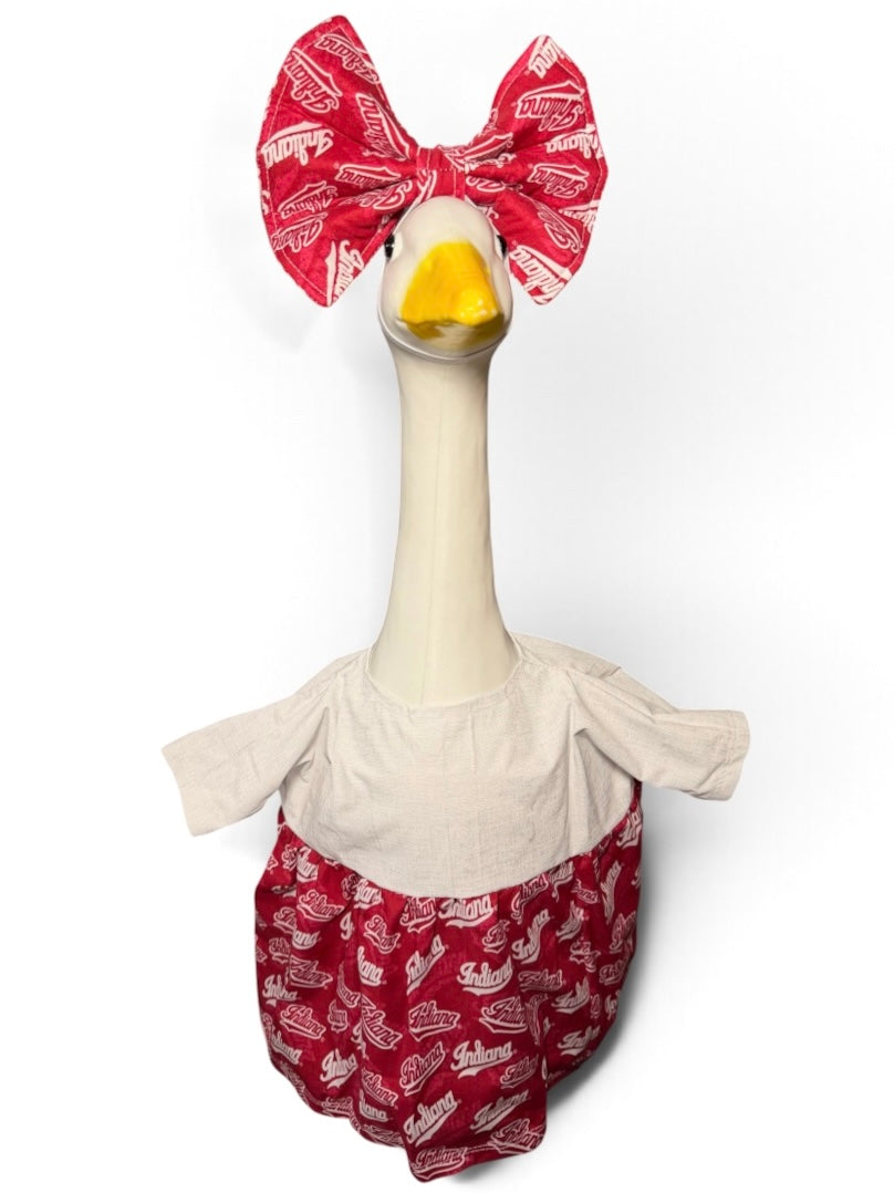 IU Dress & Bow
