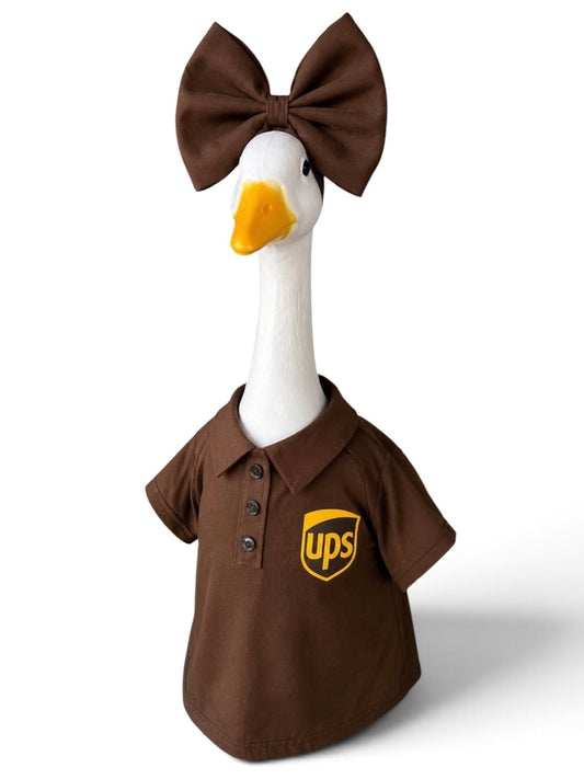 UPS Dress & Bow