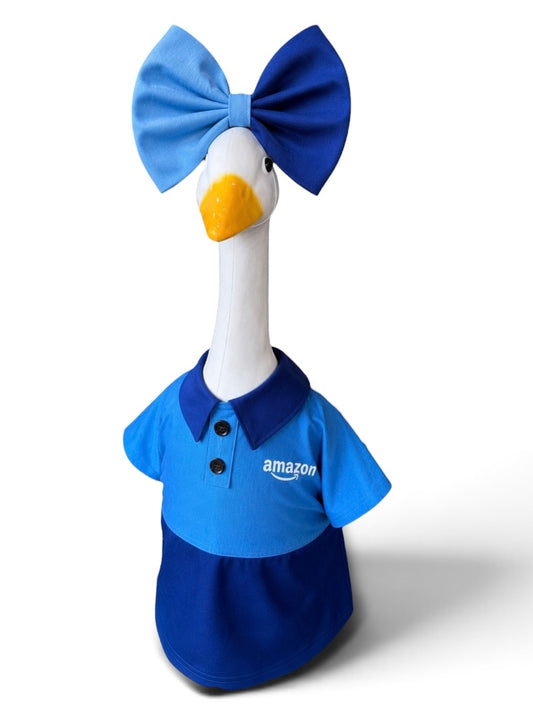 Amazon Dress & Bow